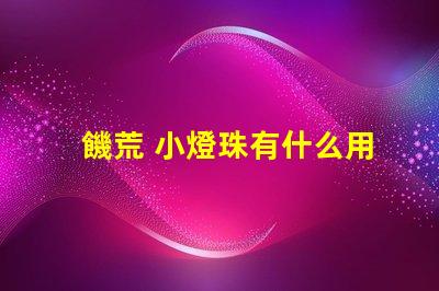饑荒 小燈珠有什么用